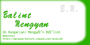 balint mengyan business card